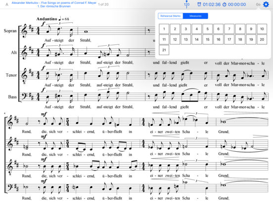 iPad Screenshot 3
