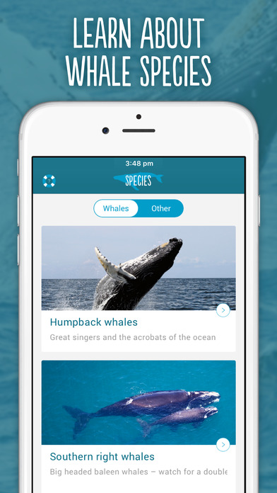 for ios download Whale Browser 3.21.192.18