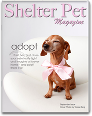Shelter Pet Magazine