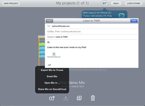 iPad Screenshot 3