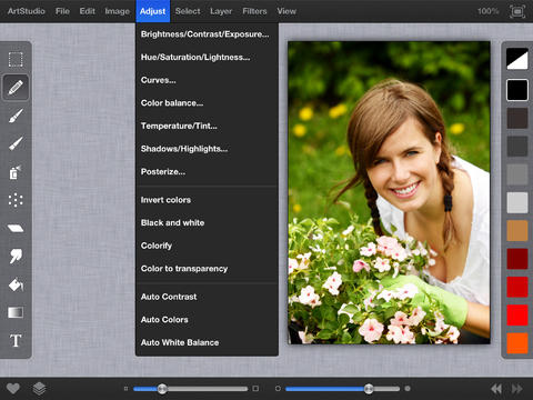 iPad Screenshot 4