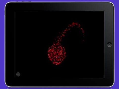 iPad Screenshot 4