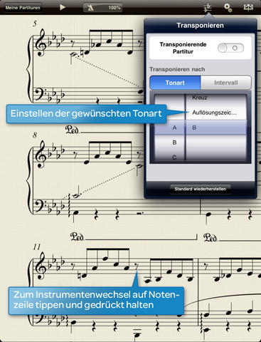 iPad Screenshot 3