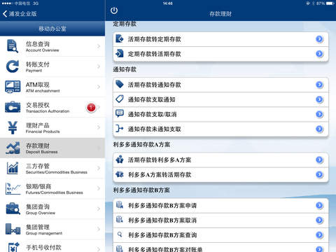 iPad Screenshot 5
