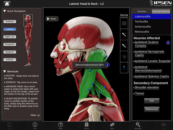iPad Screenshot 3