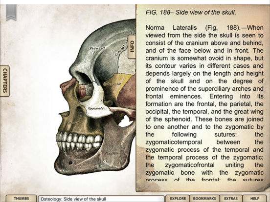 iPad Screenshot 3