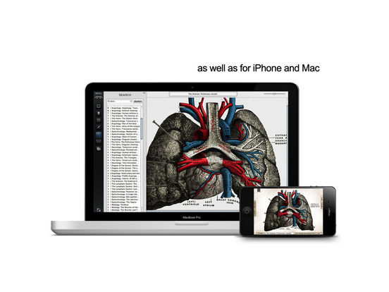 iPad Screenshot 5