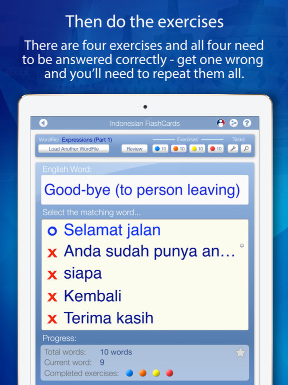 iPad Screenshot 4