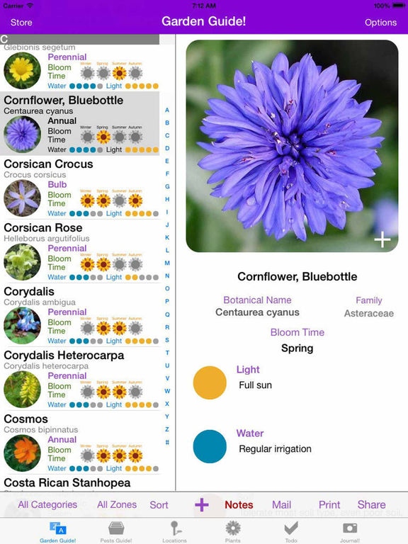 iPad Screenshot 1