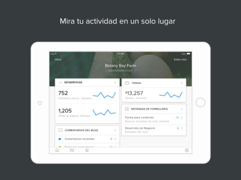 Captura de pantalla del iPad 2