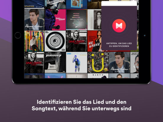 iPad Screenshot 4