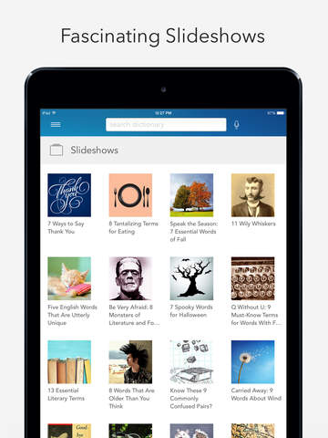 iPad Screenshot 3