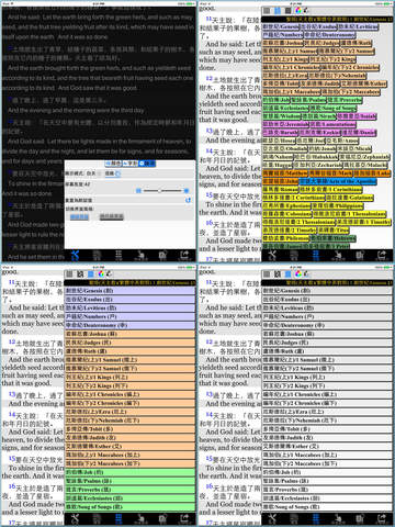 iPad Screenshot 3