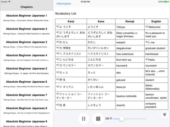 iPad Screenshot 2