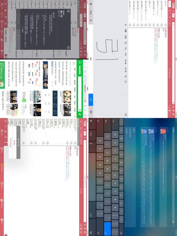 iPad Screenshot 5