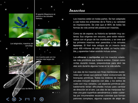 Captura de pantalla del iPad 3