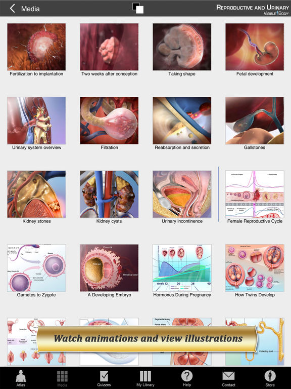 Essential Anatomy 3 - Apps on Google Play