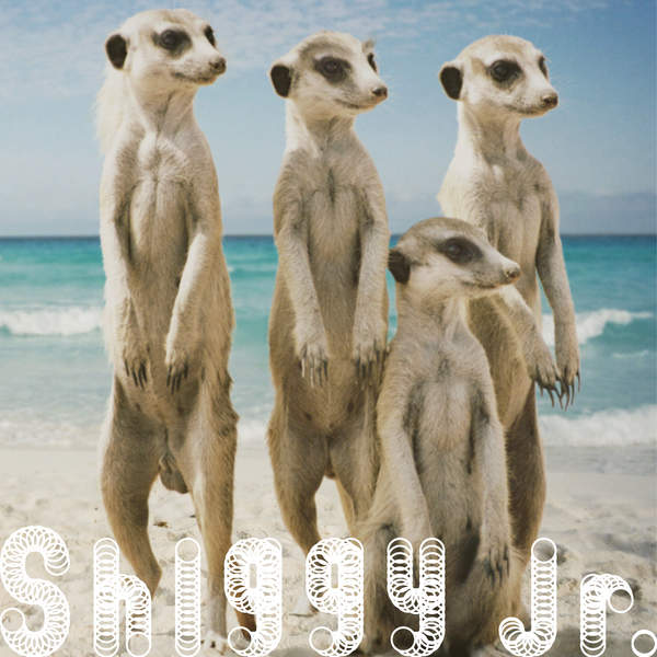 -神様この季節がいつまでも続きますように- (サマータイムラブ/Shiggy Jr.)【1フレーズガール】鉢呂ゆな