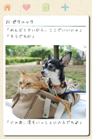 チワワとトラ猫  -凛（リン）と正宗にぃちゃんのほのぼのライフ-のおすすめ画像3