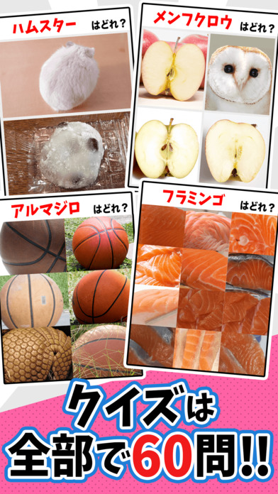 iPhone スクリーンショット 3