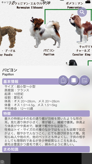 犬図鑑 Dog S Family Catchapp Iphoneアプリ Ipadアプリ検索