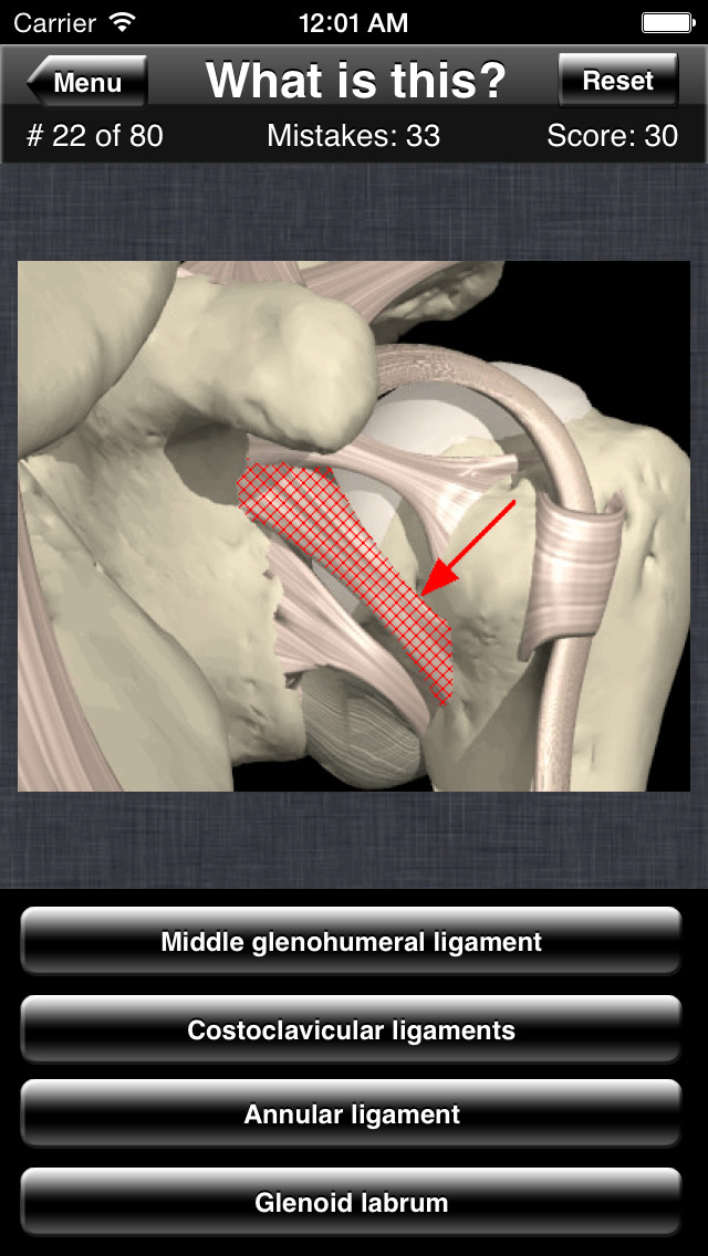 Anatomy Shoulder Quiz screenshot1