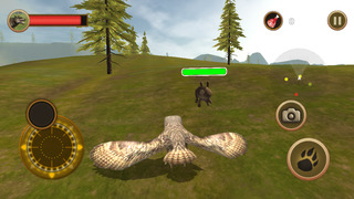 Horned Owl Simulator screenshot1