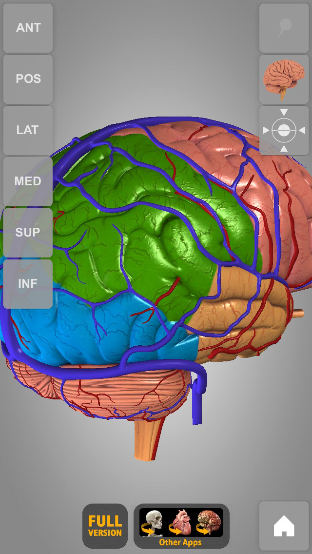 Brain - 3D Atlas of A... screenshot1