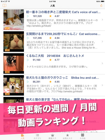 日刊ねこ動画 - CatTube 猫動画まとめアプリのおすすめ画像2