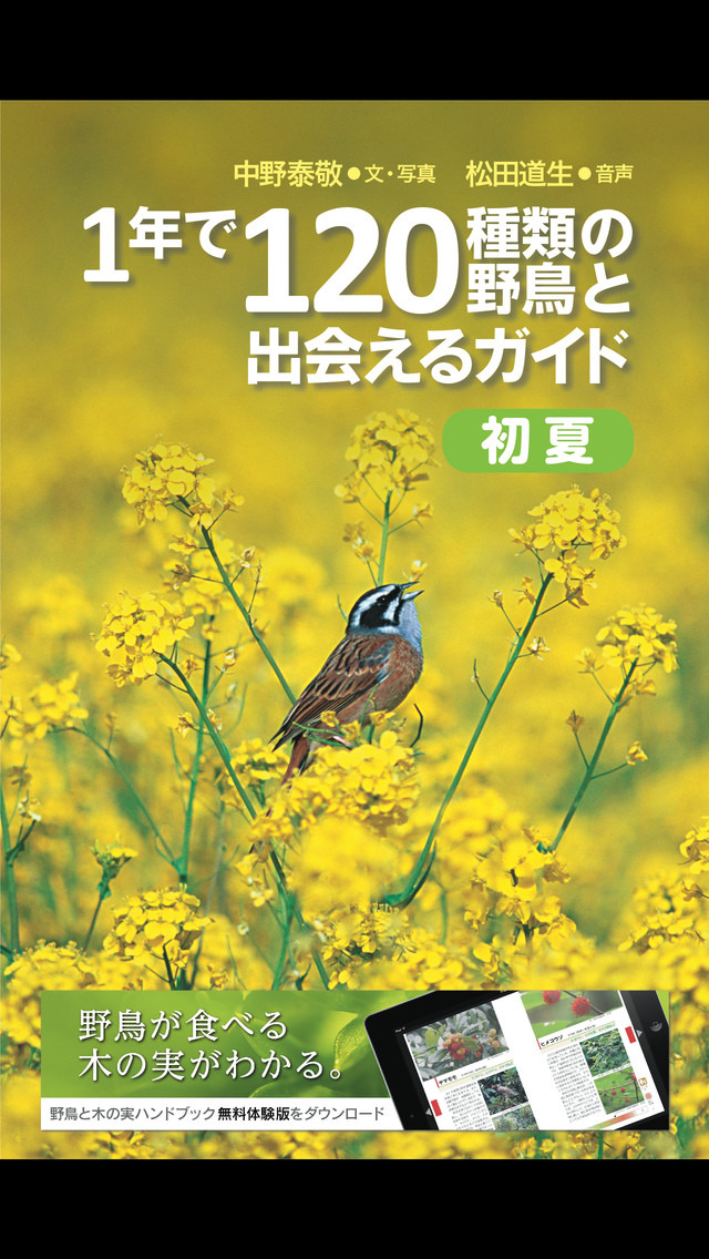 Iphone人気無料アプリ 鳥ナビ 1年で1種類の野鳥と出会えるガイド 初夏編の評価 評判 口コミ