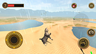 Cat Survival Simulator screenshot1