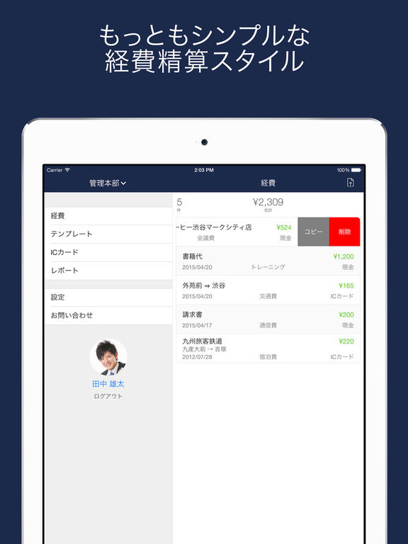 iPad スクリーンショット 1