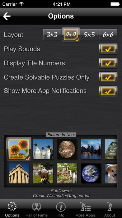 iPhone Screenshot 4