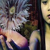 Lifeforms, The Future Sound of London