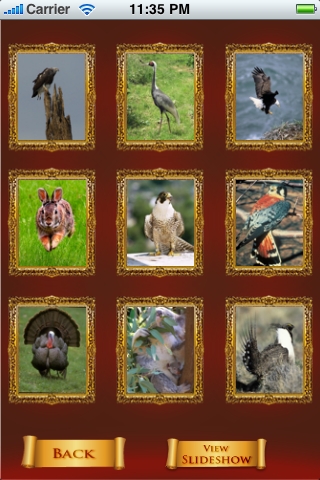 Wildlife Album free app screenshot 4