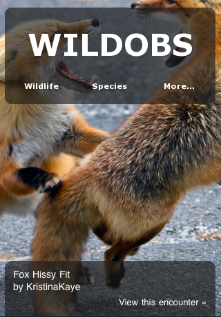WildObs Observer free app screenshot 1