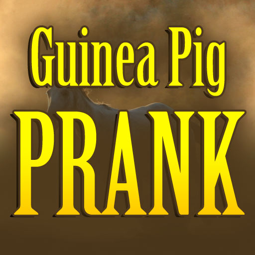 free Guinea Pig Prank iphone app