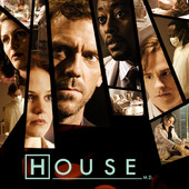 House, Season 1 artwork