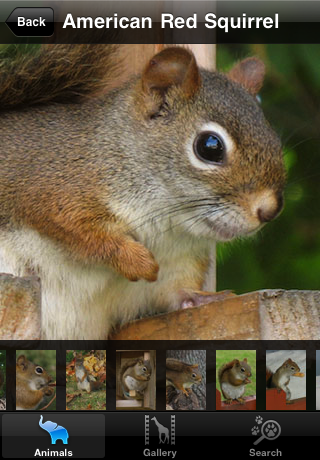 Animal Life - LITE free app screenshot 4