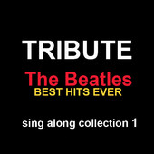 Hey Jude (Karaoke Version) - Tribute Sing Along Band