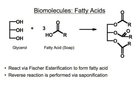 Organic Chemistry Essentials free app screenshot 2