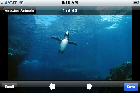Amazing Animals free app screenshot 2