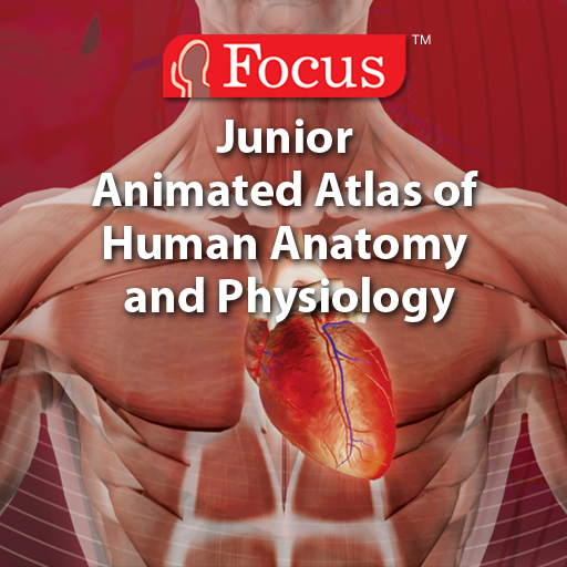 free Junior Animated Atlas of Human Anatomy and Physiology (Medical Animation from Focus Medica) iphone app