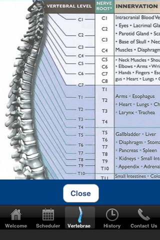 Back Pain 411 with Appointment Scheduler free app screenshot 2