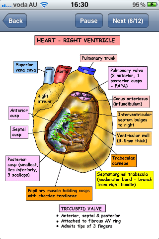 Instant Anatomy Podcast 23 - The Heart free app screenshot 2