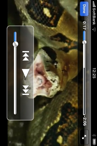 More apps related Snake World