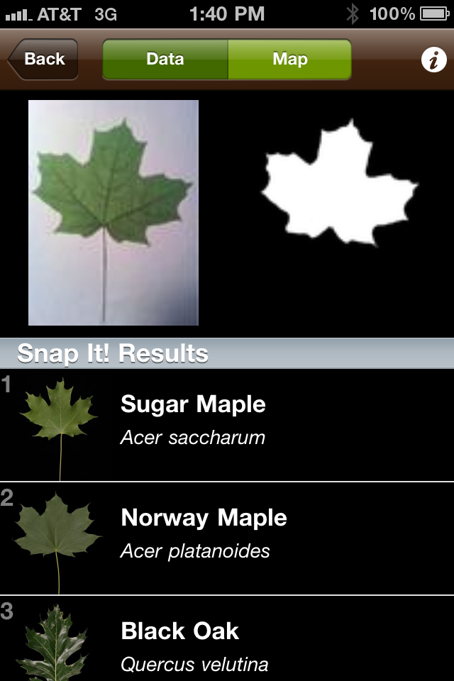Image of Leafsnap