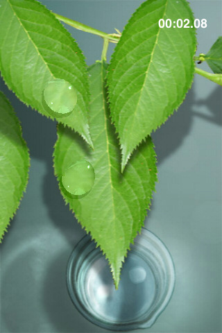 AQUA FOREST 2 -morning dew
