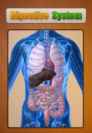 Digestive System Lite free app screenshot 1