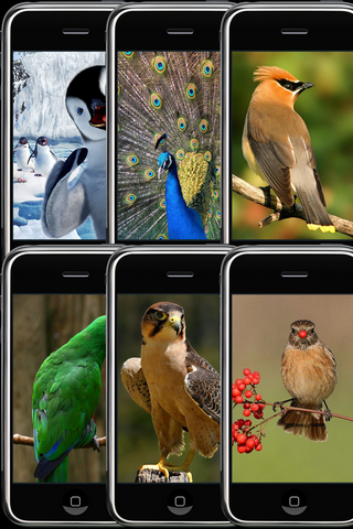 Animal Wallpapers Free free app screenshot 4